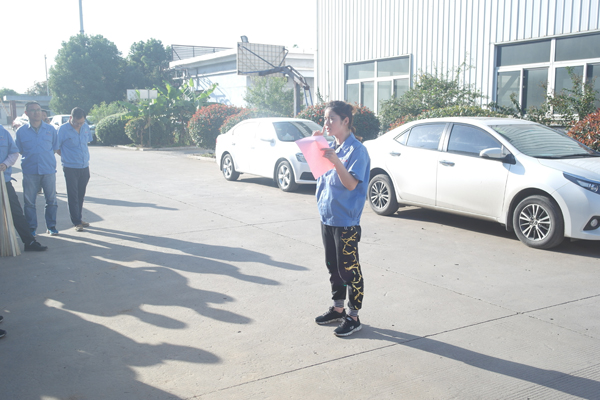 Los deportes del rodamiento giratorio xzwd