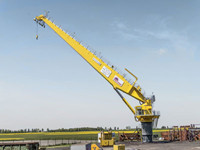 Gr&uacute;a de pedestal